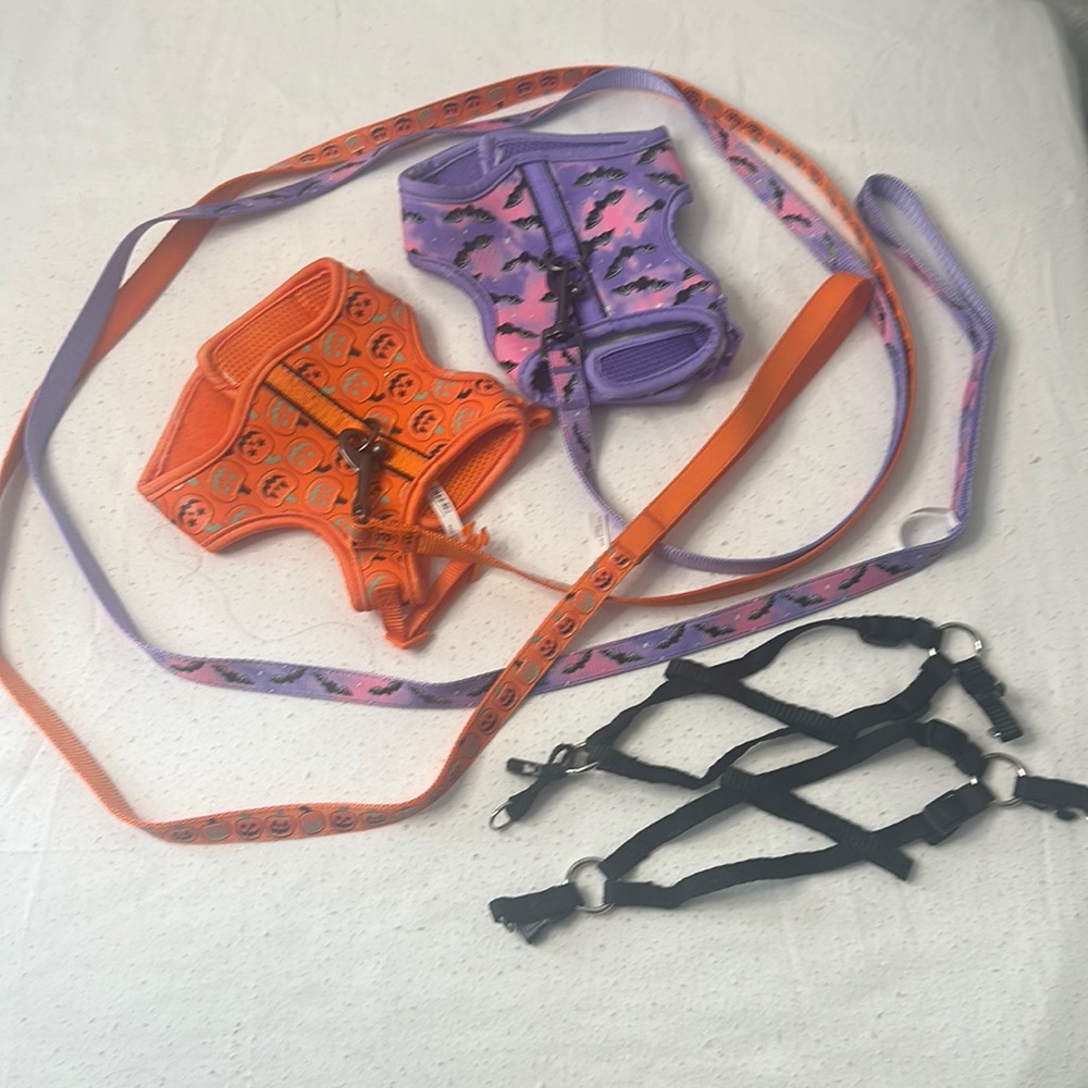 Two Halloween cat harnesses with walking strap